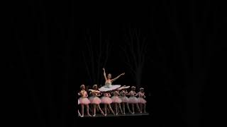 balletsuscribeteanuestrocanal danceveanlohastaelfinal apoyamecontususcripcionporfavorballerina [upl. by Dray]