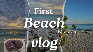 our first Maldives beach vloghermitcrabtravel youtubevideo viralvideo beautiful nature [upl. by Inamik]