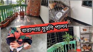 বারান্দায় মুরগি পালন🥰 শহুরে বাসায় বারান্দায় আমি যেভাবে মুরগি পালন করি😍🥰🐓 খাঁচায় মুরগি পালন 🐔 [upl. by Elwood]