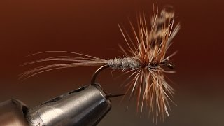 Adams Dry Fly [upl. by Stephan]