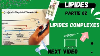 📣4 Les Lipides Partie 02  Les Lipides COMPLEXES اقوى شرح لللبيدات😍 LIPIDSMEDECINE BIOLOGY [upl. by Aw]