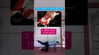 5 exercises for lumbar disc prolapse or slip disc patient Arogya physiotips [upl. by Gorey]