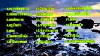 เพลงโฟล์คซอง 2 [upl. by Wenonah]