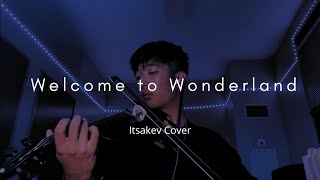 Welcome to Wonderland  Anson Seabra  Violin Cover [upl. by Map993]