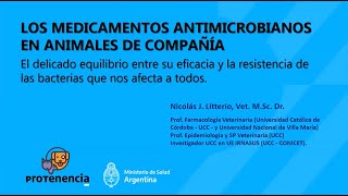 Los medicamentos antimicrobianos en animales de compañía [upl. by Estell]