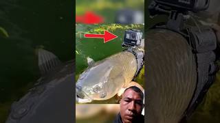 MOMEN LANGKA IKAN KAMERA GOPRO fishing carpfishing carp fish fishinglife facts shorts [upl. by Euqilegna]