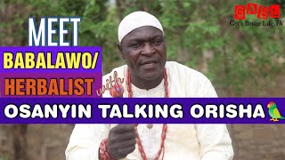 Osanyin Talking OrishaSpirit BabalawoHerbalist from AgbadoEkiti Interviewed on Yoruba Religion [upl. by Idroj]