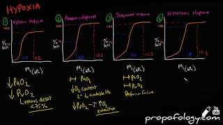 Hypoxia amp Blood Oxygen Content in 7 Minutes Physiology [upl. by Eibloc578]