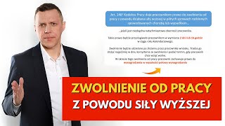 Zwolnienia pracowników z powodu siły wyższej  NOWE PRAWO PRACOWNIKA  Czas pracy kierowców [upl. by Aicital834]