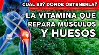 La Vitamina que REPARA tu cuerpo  Donde encontrarla [upl. by Ittam]