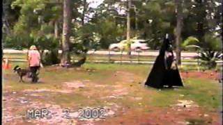 SCHUTZHUND TRAINING  PROTECTION DOG TRAINING TAMPA  ORLANDO  MIAMI  FT MYERS  PALM BEACH [upl. by Dnivra842]