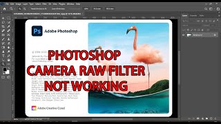 PHOTOSHOP CAMERA RAW FILTER NOT WORKING  SOLVED [upl. by Mark]