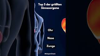 Top 5 der größten Sinnesorgane youtubeshorts top5 sinnesorgane körper fakten [upl. by Enenej]