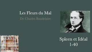 Les Fleurs du mal lecture audio de Spleen et Ideal [upl. by Alisia658]