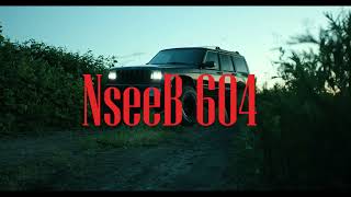 Tu Ni Punjab  NseeB  official video  new punjabi rap 2024 [upl. by Chuipek18]