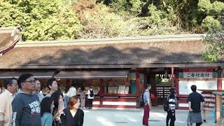 DazaifuTenmangu shrine [upl. by Sheena859]