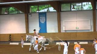 Gut Waffenschmiede 1  Pferd International 2014 [upl. by Pish25]