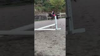 Two weeks ago I fell off cadence and I just got scared this lesson lol equestrain sadedits [upl. by Philo580]