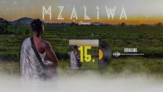 DRIEMO ft XAVEN  IMAGINEofficial audio visualizerMzaliwa malawi zambia zimbabwe [upl. by Nahtaneoj]