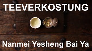 Koffeinfreie wilde Teeknospen Nanmei Yesheng Bai Ya  Teeverkostung  Tee Kontor Kiel [upl. by Ttenna]