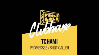 Tchami  Promesses feat Kaleem Taylor [upl. by Eladnek25]