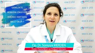 Çocuğun Cinsiyeti Kaçıncı Hafta Belli Olur  Op Dr Süreyya Merden [upl. by Anerb]