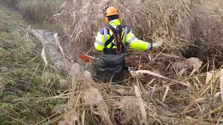 Débroussailleuse stihl fs 460c qui coupe dans leau [upl. by Aiepoissac]