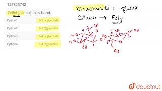 Cellobiose exhibits bond  CLASS 12  BIOMOLECULES  CHEMISTRY  Doubtnut [upl. by Iam]