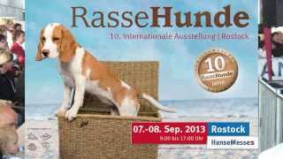 Internationale RasseHundeAusstellung Rostock 2013 [upl. by Vail]