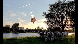 Ballonfestival Grave 2024 1e dag [upl. by Baudin718]