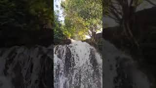 papanasam agasthiyar falls [upl. by Anaili]