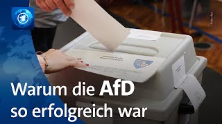 Warum so viele Menschen in Thüringen und Sachsen die AfD gewählt haben [upl. by Llertniuq]