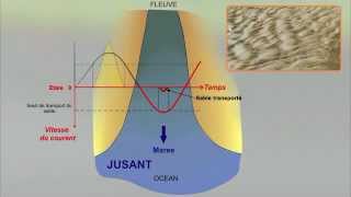 9b  Les sédiments déposés par les marées [upl. by Cenac465]