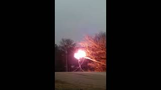 Tree falls on a power line in Flesherton [upl. by Leupold]