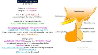 Pituitary Gland Physiological Anatomy Chapter 76 part 1 Guyton and Hall Physiology [upl. by Shulock759]