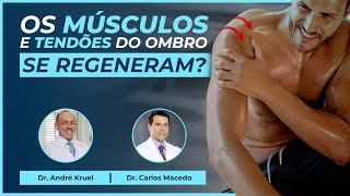 Os músculos e tendões do ombro se regeneram  Dr Carlos Macedo amp Dr André Kruel [upl. by Adnerb]