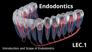 Endodontics Introduction and Scope of Endodontics  حشوات الجذور المحاضرة الاولى [upl. by Rimahs]