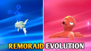 How To Evolve Remoraid Into Octillery In Pokemon Sword amp Shield  Galar Pokedex [upl. by Verlie]