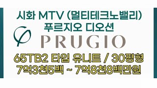 풀영상 시화 MTV 푸르지오 디오션 65TB2 타입 유니트 소개  분양문의 18777033 시화mtv [upl. by Einnad]