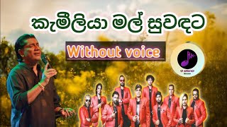 Kameliya Mal Suwadata Karaoke Cinderella without voice  kithsiri jayasekara [upl. by Boyce]