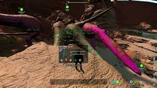 Ark Survival Ascended Gamma Manticore  Official PVE [upl. by Ande]