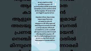 Athmavile Anandhame ❤️😥feelthesong malayalamlyrics malayalamsong lyrics viralsong viralshorts [upl. by Drona]