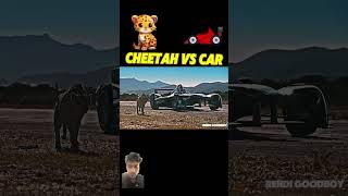 automobile cheetah edit cheetay smartphone attitude animals anime animeedit onepunchman [upl. by Nnyltak]