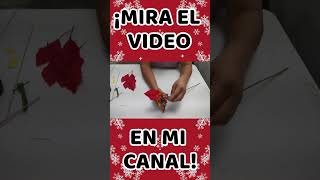 Hermosa Nochebuena de Crepé 🎄❤️ ▶ COMO Hacer Nochebuena de Papel Crepe Para NAVIDAD 2024 🎅 [upl. by Nitsirc365]