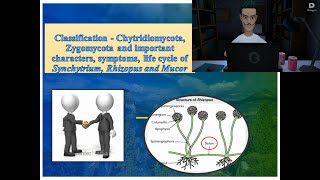 Chytridiomycota amp Zygomycota  Symptoms and life cycle of Synchytrium Rhizopus amp Mucor [upl. by Saba]