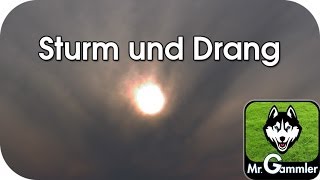 Sturm und Drang Insrumental [upl. by Yecal]