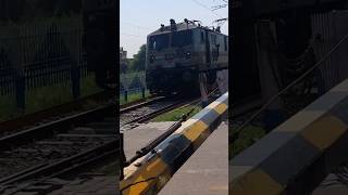 Train Horn Sound Effect Comparison Ludhiana WAP7 30651 and Tughlakabad WAP7 30335 hornsoundeffect [upl. by Shurlocke]