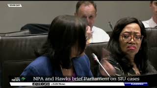 NPA Hawks brief SCOPA [upl. by Rivy]