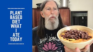 Plant Based Diet What I Ate Today [upl. by Campbell]