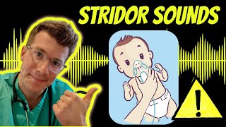 Doctor explains Stridor with real examples of sounds plus causes treatment and warning signs [upl. by Nylloc381]